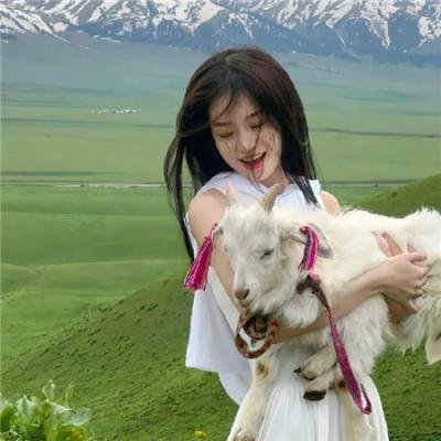 我和僵尸有个约会3国语